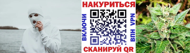 Бошки Шишки план  купить   Магнитогорск 